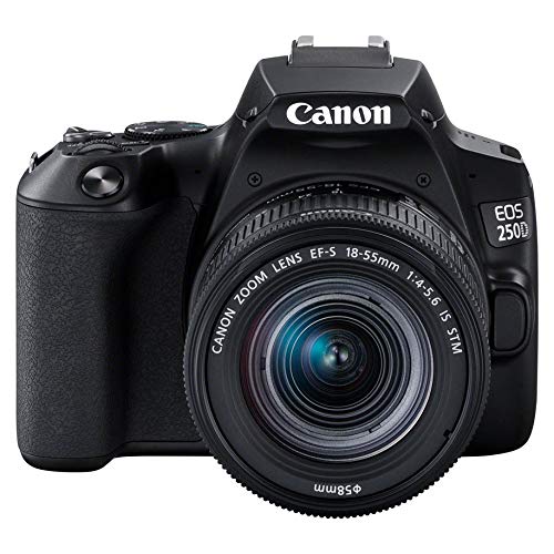 Canon EOS 250D (Rebel SL3) DSLR Camera w/ 18-55mm is STM Lens (International Model) (Black)