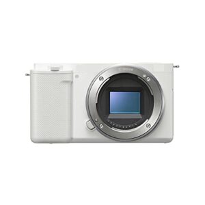 dyosen digital camera zv-e10 mirrorless camera (body only, black,white) digital camera photography (color : w)