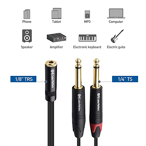 Cable Matters 2-Pack Dual 1/4 to 3.5mm Female Stereo Audio Splitter Cable (3.5mm to Dual 1/4 Adapter) in Black - 6 Inches / 0.15 Meters