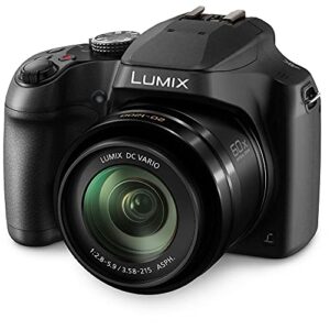 Panasonic Lumix DC-FZ80 Digital Camera (DC-FZ80K) - Bundle - with 64GB Memory Card + LED Video Light + DMW-BMB9 Battery + Digital Flash + Soft Bag + 12 Inch Flexible Tripod + Cleaning Set + More