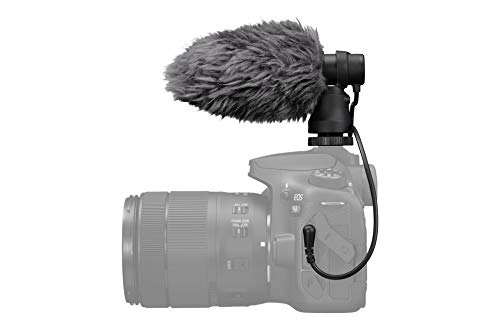 Canon USA 4474C001 Stereo Microphone DM-E100