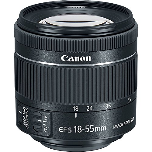 Canon Intl. EOS 850D (T8i) DSLR Camera with EF-S 18-55mm f4-5.6 is STM, EF 75-300mm III Lens Bundle, Travel Kit Accessories (Gadget Bag, Extra Battery, Digital Slave Flash, 128Gb Memory+More), Black
