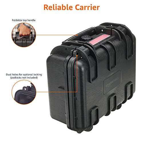 Amazon Basics Small Hard Camera Carrying Case - 12 x 11 x 6 Inches, Black