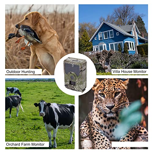 Socobeta Hunting Camera, 12MP 1080P Wildlife Camera IP56 Waterproof 0.8s Photographing Infrared Lights Sturdy for Villa House Monitoring