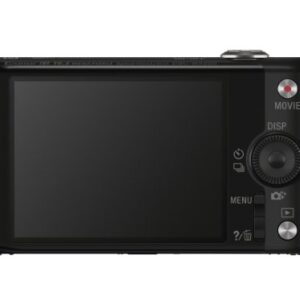 Sony DSCWX220/B 18.2 MP Digital Camera with 2.7-Inch LCD (Black)