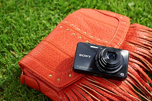 Sony DSCWX220/B 18.2 MP Digital Camera with 2.7-Inch LCD (Black)