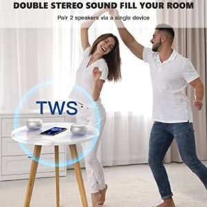 LENRUE Portable Bluetooth Speakers with Enhanced Bass and Stereo Sound, TWS, Bulti in Mic, TF Port, Wireless Speaker Portable for Phone, iPad, Mac, Tablet, Echo (Sliver)