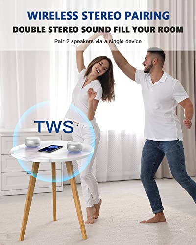 LENRUE Portable Bluetooth Speakers with Enhanced Bass and Stereo Sound, TWS, Bulti in Mic, TF Port, Wireless Speaker Portable for Phone, iPad, Mac, Tablet, Echo (Sliver)