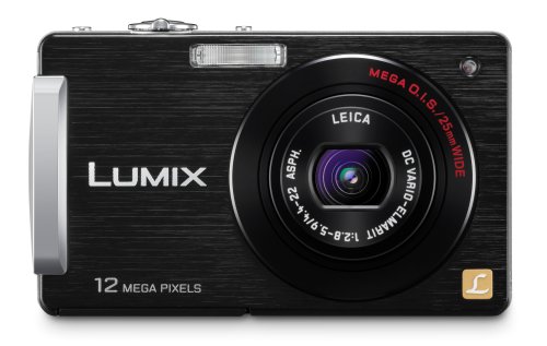 Panasonic Lumix DMC-FX580 12MP Digital Camera with 5x MEGA Optical Image Stabilized Zoom and 3 inch LCD (Black)