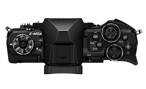 OLYMPUS OM-D E-M5 Mark II (Black) (Body Only)