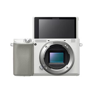 camera 6100 a6100 mirrorless digital camera body digital camera (color : silver body)