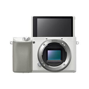 Camera 6100 A6100 Mirrorless Digital Camera Body Digital Camera (Color : Silver Body)