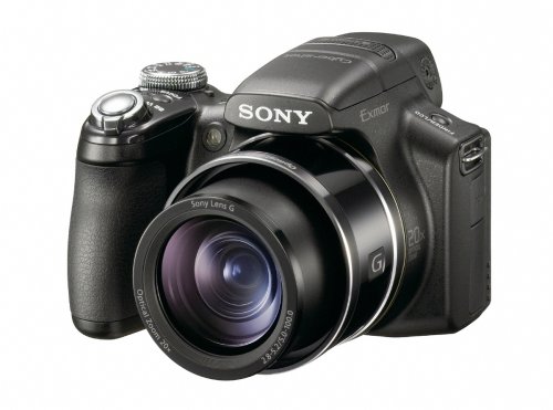 Sony Cybershot DSC-HX1 9.1MP 20x Optical Zoom Digital Camera with Super Steady Shot Image Stabilization and 3.0 Inch LCD