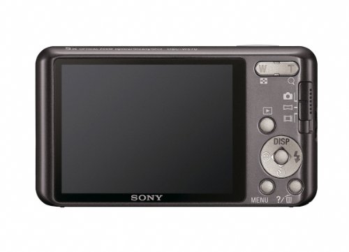 Sony Cyber-Shot DSC-W570 16.1 MP Digital Still Camera with Carl Zeiss Vario-Tessar 5x Wide-Angle Optical Zoom Lens and 2.7-inch LCD (Silver) (OLD MODEL)