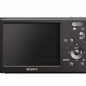 Sony DSC-W310 12.1MP Digital Camera with 4x Wide Angle Zoom with Digital Steady Shot Image Stabilization and 2.7 inch LCD (Black) (OLD MODEL)