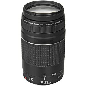 Camera Bundle for Canon EOS M50 Mark II Mirrorless Camera Black w/EF-M 15-45mm f/3.5-6.3 is STM, 75-300mm f/4-5.6 III, 500mm f/8 Manual Focus Lens + Accessories (Renewed)