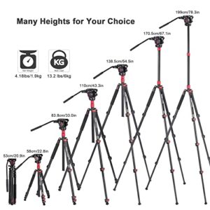 Video Tripod, Avella A154P Video Camera Tripod Monopod Aluminium Alloy 78.3 inch for Canon Nikon Sony Olympus Panasonic DSLR Camera