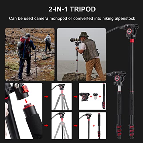 Video Tripod, Avella A154P Video Camera Tripod Monopod Aluminium Alloy 78.3 inch for Canon Nikon Sony Olympus Panasonic DSLR Camera