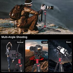 Video Tripod, Avella A154P Video Camera Tripod Monopod Aluminium Alloy 78.3 inch for Canon Nikon Sony Olympus Panasonic DSLR Camera