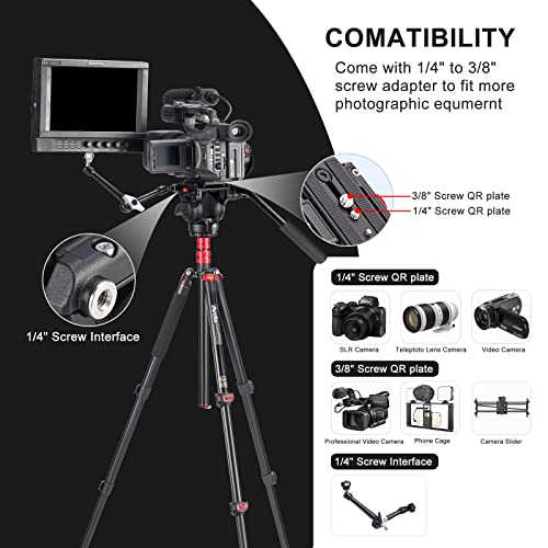 Video Tripod, Avella A154P Video Camera Tripod Monopod Aluminium Alloy 78.3 inch for Canon Nikon Sony Olympus Panasonic DSLR Camera