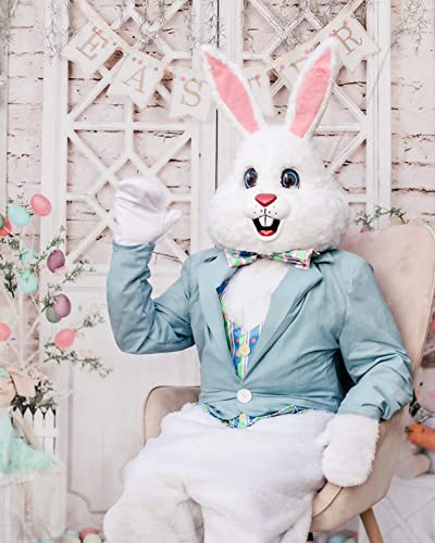 Kate 8x8ft Happy Easter Day Photography Backdrops Colorful Eggs Cute Rabbit Toy Photographic Background Retro Wall White Door Baby Shower Newborn Shooting Backdrop