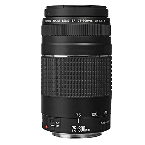 Canon EOS 90D DSLR Camera w/EF-S 18-135mm f/3.5-5.6 is USM Lens + 75-300mm F/4-5.6 III Lens + EF 50mm f/1.8 STM Lens + 2X 64GB Memory + Hood + Case + Filters + Tripod + More (35pc Bundle)
