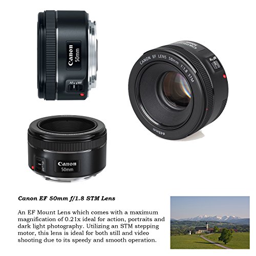 Canon EOS 5D Mark IV DSLR Camera w/ 24-105mm STM Lens + Canon EF 75-300mm III Lens, Canon 50mm f/1.8, 500mm Lens & 650-1300mm Lens + Deluxe Backpack + 64GB Memory + Monopod + Professional Bundle