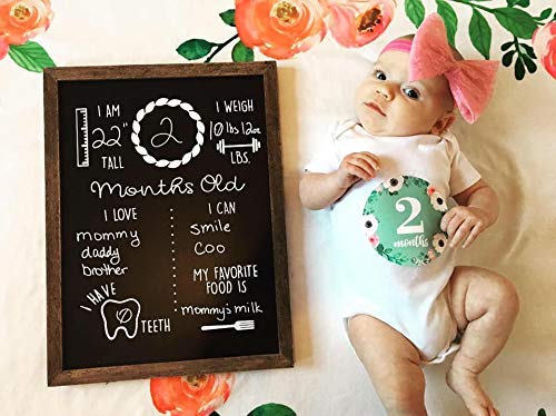 Baby Monthly Milestone Chalkboard | 12" x 16" Wood Framed Reusable Monthly Baby Milestone Board | Baby Calendar First Year