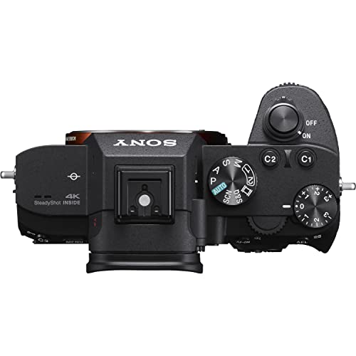 Sony a7 III Body Only Mirrorless Camera Bundle + Accessories (256Gb High Memory, Extra Batteries LED Light, Gadget Bag and More) ILCE7M3/B