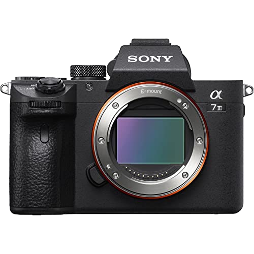 Sony a7 III Body Only Mirrorless Camera Bundle + Accessories (256Gb High Memory, Extra Batteries LED Light, Gadget Bag and More) ILCE7M3/B