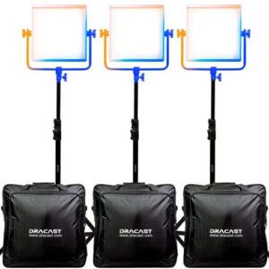 Dracast Pro Series LED1000 Bi-Color LED 3 Light Kit with V-Mount Battery Plates and Light Stands