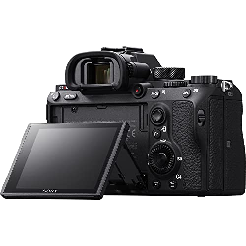 Sony a7R III Mirrorless Camera with FE 28-70mm, E 55-210mm Lens Bundle + Accessories (256Gb High Speed Memory, 3 Batteries, LED Light, Gadget Bag and More) ILCE7RM3/B