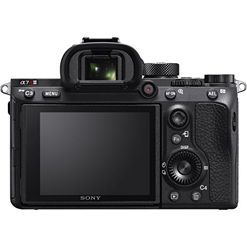 Sony a7R III Mirrorless Camera with FE 28-70mm, E 55-210mm Lens Bundle + Accessories (256Gb High Speed Memory, 3 Batteries, LED Light, Gadget Bag and More) ILCE7RM3/B