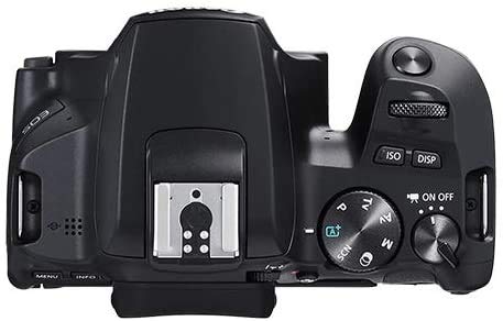 Camera EOS 250D (Rebel SL3) DSLR w/ 18-55mm Lens | 24.1 Megapixels | 4K HD Video with 64GB Memory, Carrying Case, Card Reader + Photo Bundle