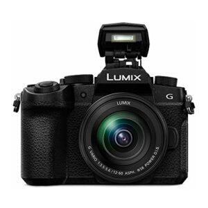 Panasonic LUMIX G95 20.3 Megapixel Mirrorless Camera with 12-60mm F3.5-5.6 Lens Bundle with Panasonic LUMIX 45-150mm F4.0-5.6 G Vario Lens, 128GB SDXC Memory Card, and Camera Gadget Bag (4 Items)