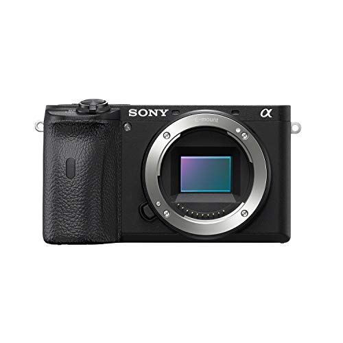 SONY ILCE-6600 CUERPO DE CÁMARA CON MONTURA TIPO E Y SENSOR APS-C CUERPO