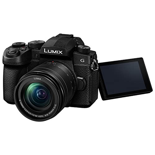 Panasonic Lumix G95 Mirrorless Camera with 12-60mm Lens- 64GB Memory, Case, Filters, Grip, and More (27pc Bundle)