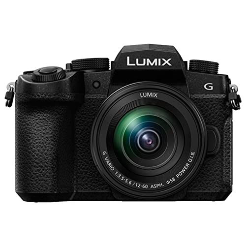 Panasonic Lumix G95 Mirrorless Camera with 12-60mm Lens- 64GB Memory, Case, Filters, Grip, and More (27pc Bundle)