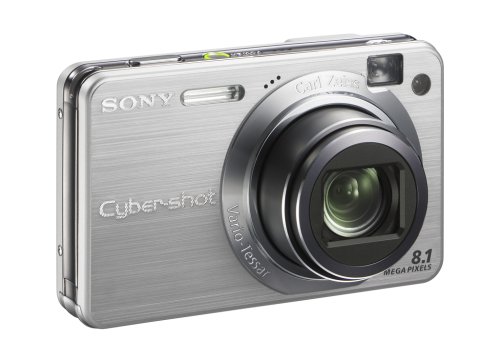 Sony Cybershot DSCW150 8.1MP Digital Camera with 5x Optical Zoom with Super Steady Shot (Silver)