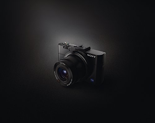 Sony RX100 II 20.2 MP Premium Compact Digital Camera w/ 1-inch Sensor, MI (Multi-Interface) Shoe and tilt LCD Screen (DSCRX100M2/B)