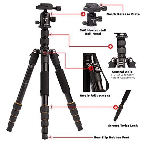 FTF GEAR Compact Aluminum DSLR Camera Tripod and Monopod, Loads up to 20 lbs