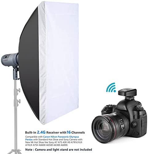 Neewer 600W Battery Powered Outdoor Studio Flash Strobe Lighting Kit:(2)VISION4 Monolight with 2.4G System,(2)Translucent White Umbrella,(2)Rectangular Softbox for Video Shooting Location Photography