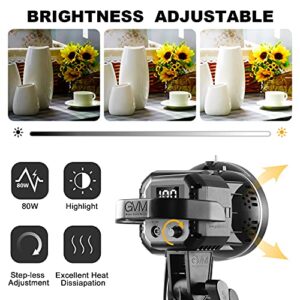 GVM 80W Softbox Lighting Kit with APP Control, Professional Studio Photography Lighting with Digital Display, LED Video Light Color Temperature 5600K and CRI 97+ for Portrait Product Fashion Shoot