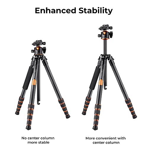 K&F Concept 62-inch Carbon Fiber Camera Tripod,Portable Compact Tripods with Detachable Monopod,360° Metal Ball Head 15KG/33lbs Load Capacity with Quick Release Plate for Travel and Work A255C2+BH-35L