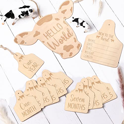 Huray Rayho Cow Baby Monthly Milestone Cards Rustic Wooden Herd Cattle Newborn Photography Props to Record Your Baby´s Growth, Gift Set of 14 Reversible Cards for Pregnancy and Baby Shower