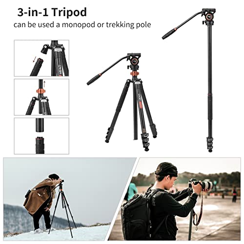 Cayer FP2450 Fluid Head Tripod, 75 inches Aluminium Tripod, 4-Section Compact Camera Tripod Convertible to Monopod for DSLR Camera, Load Capacity up to 13.2 Pounds