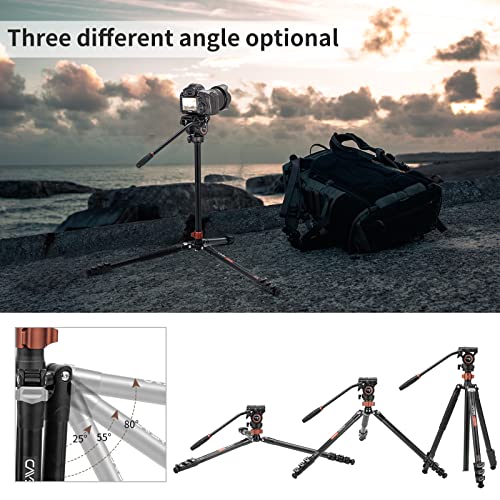 Cayer FP2450 Fluid Head Tripod, 75 inches Aluminium Tripod, 4-Section Compact Camera Tripod Convertible to Monopod for DSLR Camera, Load Capacity up to 13.2 Pounds