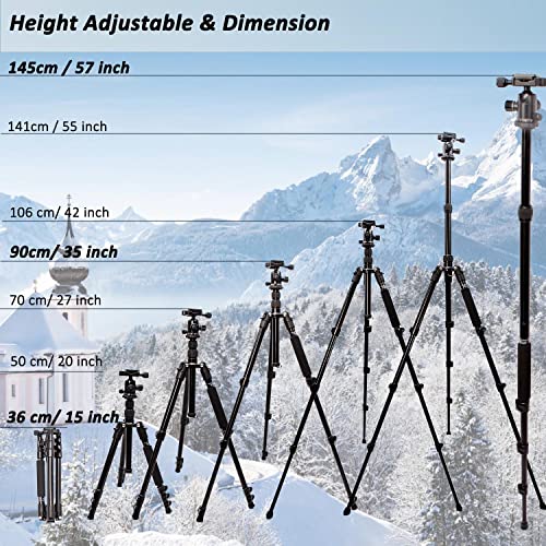 Alwayside Camera Tripod with Phone Holder and Bag, Aluminum Travel Tripod for Camera, DSLR Camema Tripod, Compact Professional Camera Tripod Monopod with 360 Panorama Ball Head, 1/4 QR Plate