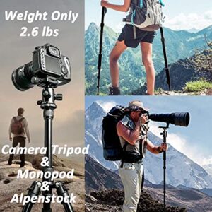 Alwayside Camera Tripod with Phone Holder and Bag, Aluminum Travel Tripod for Camera, DSLR Camema Tripod, Compact Professional Camera Tripod Monopod with 360 Panorama Ball Head, 1/4 QR Plate