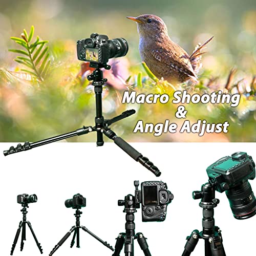 Alwayside Camera Tripod with Phone Holder and Bag, Aluminum Travel Tripod for Camera, DSLR Camema Tripod, Compact Professional Camera Tripod Monopod with 360 Panorama Ball Head, 1/4 QR Plate